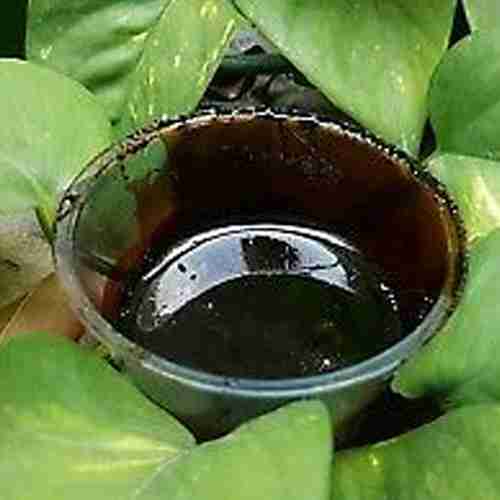 Ayahuasca Banisteriopsis Caapi Cielo - Original Chacruna, Chaliponga , Harmala, Mimosa (in Pasta)