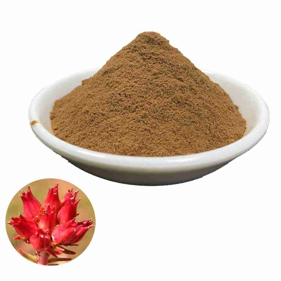 Radice d'oro di Rodiola Rhodiola Rosea Siberiana Essiccata - Polvere