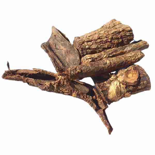 mulungu- tree