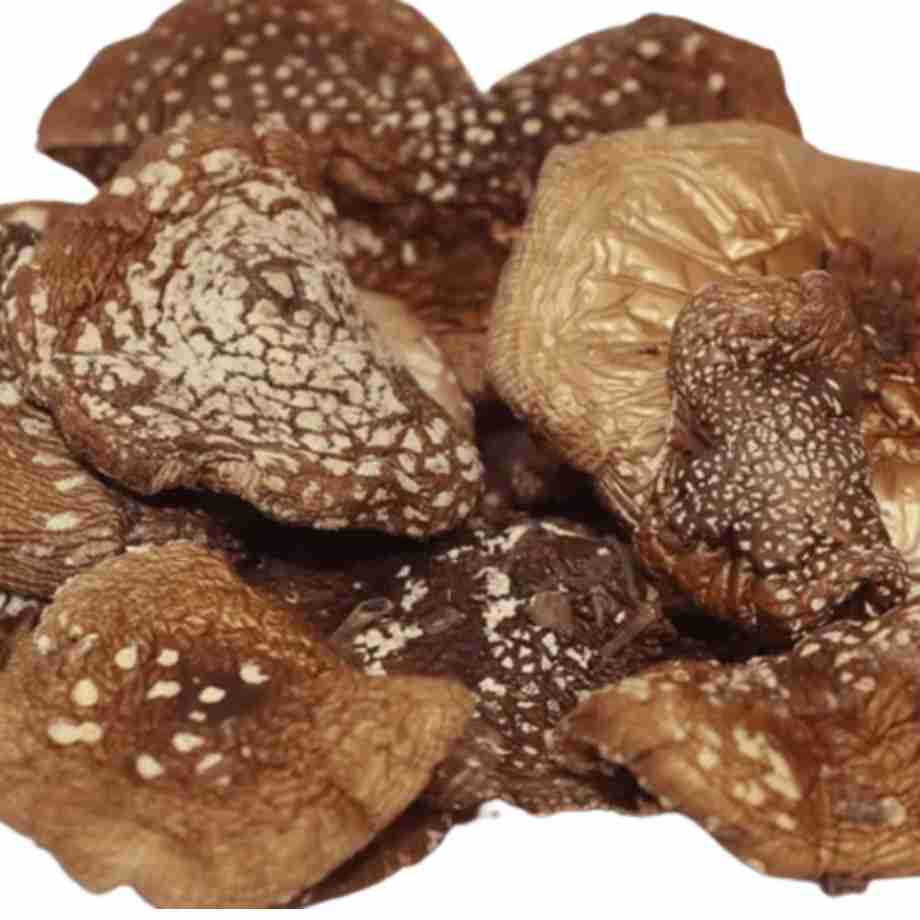 Amanita Phanterina Essiccata Cerimona e Microdosing