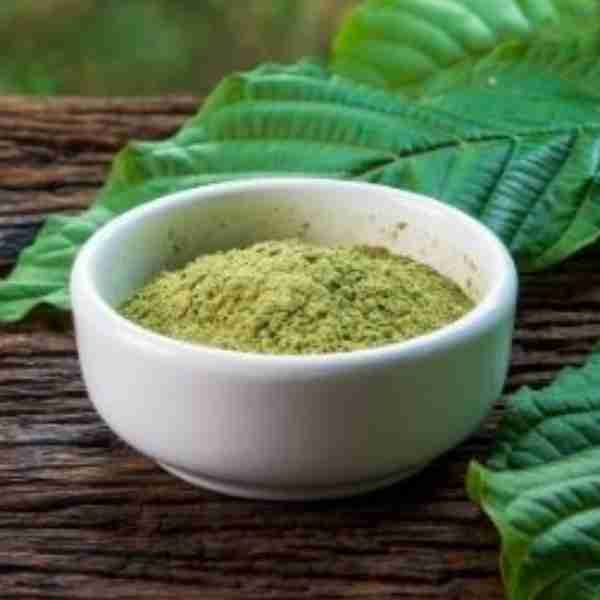 Kratom Maeng Da Green – Mitragyna speciosa
