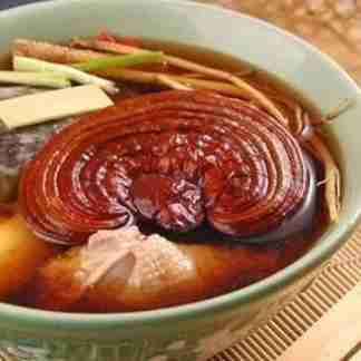 ganoderma Lucidu reishi Ling Zhi(4)