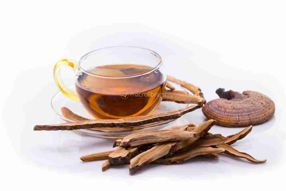 ganoderma Lucidu reishi Ling Zhi(7)